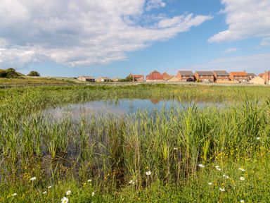 A pond with tall grass and flowers in front of houses under a partly cloudy sky at Waterside in Beadnell