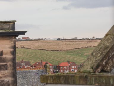 A view of houses with red roofs and a grassy hill in the background at 20A St Hildas in Whitby
