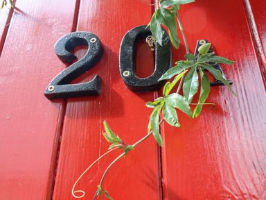 Number 20A with a green plant on a red door at 20A St Hilda's in Whitby