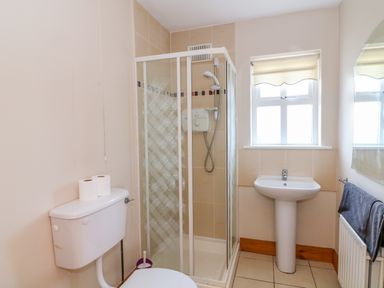 A bathroom with a shower enclosure toilet sink window and towel radiator at Doornogue Churchtown near Fethard-on-Sea