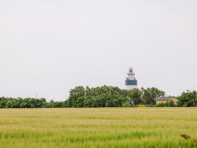 A field with grass and bushes with a lighthouse and a small building behind at Doornogue Churchtown near Fethard-on-Sea