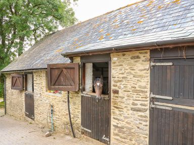 A horse looking out from a stable door of a stone barn with wooden shutters at Great Bradley Cottage in Withypool