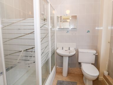 A bathroom with a shower enclosure sink toilet and a mirror cabinet at 4 Ty Rhosyn in Morfa Bychan