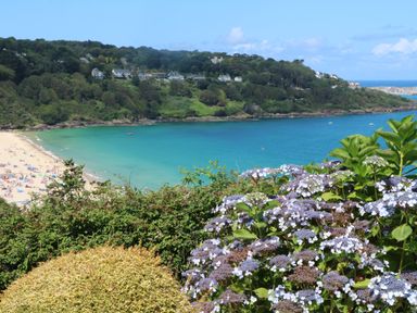 A view of a beach with people swimming and sunbathing surrounded by hills with houses and flowers in the foreground at Meridian in Carbis Bay