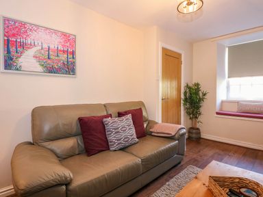 A living room with a leather sofa and cushions a wooden door a potted plant and a window seat at Yr Hen Dy Capel in Blaenau Ffestiniog