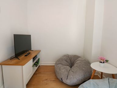 A small living area with a television on a cabinet a bean bag chair a small table with a flower pot at Yr Hen Dy Capel in Blaenau Ffestiniog