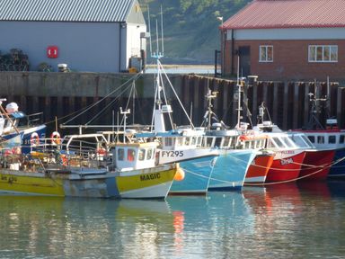 Fishing boats docked beside a concrete quay with buildings in the background