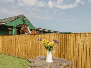 A brown horse behind a wooden fence near a green stable and a white pitcher with yellow and purple flowers on a wooden table at The Sequoia in Cloughton