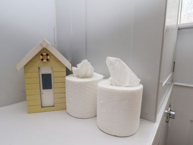 A tissue box and paper towels in a bathroom at Cobbles House Whitby