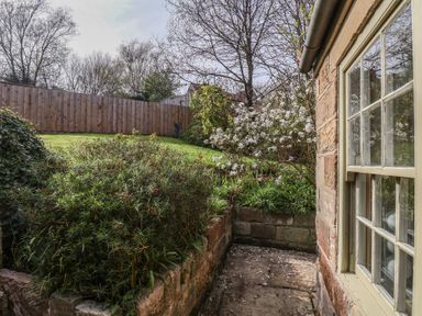 An outdoor garden area with stone walls grass bushes and a tree with white flowers at Damson Cottage in Whitby