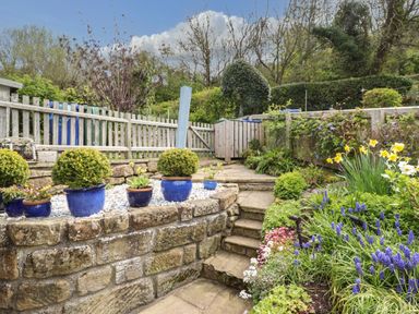 A garden with stone steps blue pots with plants wooden fence and flowering plants at The Cottage in Sandsend