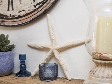A white starfish leaning against a wall next to blue glass candle holders a blue potted succulent and a large candle in a glass holder at The Cottage in Sandsend