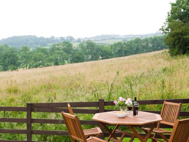 An outdoor wooden table with chairs a bottle of wine two glasses flowers and a bowl overlooking a field and trees