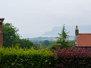 View of a distant coastline with greenery trees and rooftops in the foreground