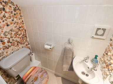 A bathroom with a toilet and a sink with soap a towel on a ring and walls decorated with shells at Ty'r Winllan in Newport Pembrokeshire