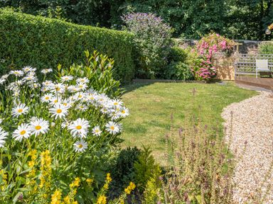A garden with white daisies yellow flowers trimmed hedges and a wooden bench at Granary Cottage in Pembroke