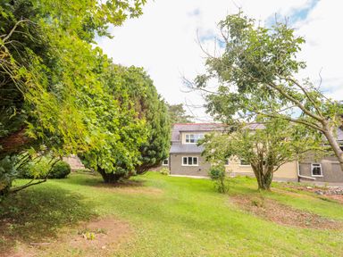A garden with green grass and trees with a house in the background at Gorwel in Moelfre