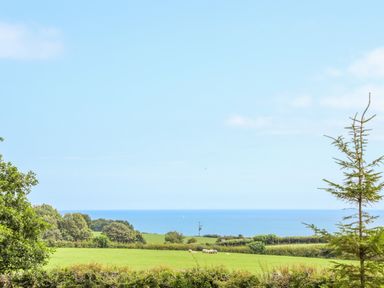 A green field with sheep near trees and the sea in the background at Gorwel in Moelfre
