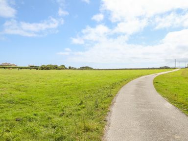 A curved paved path through a grassy field with houses and cows in the distance at Gorwel in Moelfre