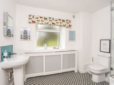 A bathroom with a sink toilet window with dog patterned valance and geometric floor tiles at Gorwel in Moelfre