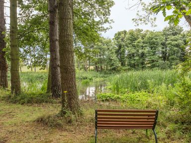 A bench facing a pond surrounded by trees and tall grass at Sawmill Cottage in Belford near Bamburgh