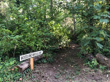A woodland path with a sign reading woodland walk and lake surrounded by trees and logs at Sawmill Cottage in Belford near Bamburgh
