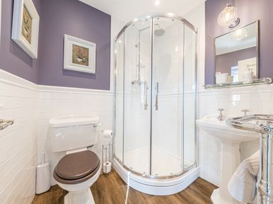 A bathroom with a corner shower enclosure a toilet with a dark seat and a pedestal sink at Prospect Cottage Loft in Ambleside