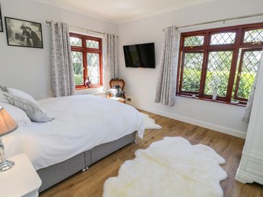 A bedroom with a bed white rug two windows a chair and a wall mounted television at Berwyn in Talybont
