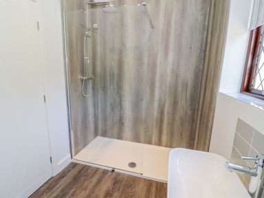 A bathroom with a walk in shower with a glass screen wooden paneling and a white sink next to a window at Berwyn in Talybont