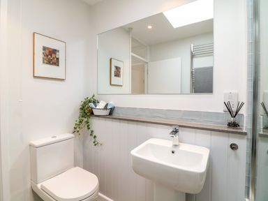 A bathroom with a toilet a wall-mounted sink a large mirror a small towel basket and a plant at Sea Point in Exmouth
