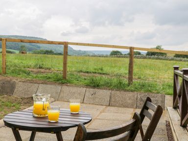 A wooden table with a jug and glasses of orange juice on a patio overlooking a grassy field with a wooden fence at Thirley Beck Lodge in Harwood Dale