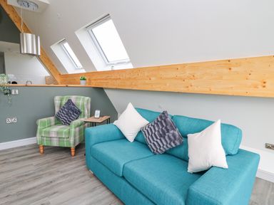 A sitting area with a blue sofa and green plaid armchair under skylight windows at Elan Valley Welsh - The Sheepfold in Llanyre near Llandrindod Wells