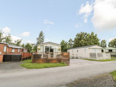 Mobile homes with wooden decks along a paved road surrounded by trees at Ramblers Rest in Felton