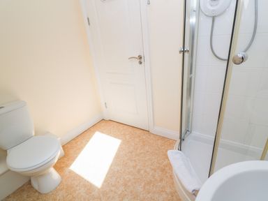 A bathroom with a toilet a shower enclosure and a white door at Henrys Croft in Lizard