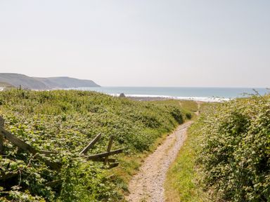 A dirt path between green bushes leading to the ocean with hills in the background at Senafe in Widemouth Bay