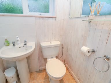 A bathroom with a toilet sink hand soap and toilet paper at Estuary View (House & Annexe) in Dartmouth