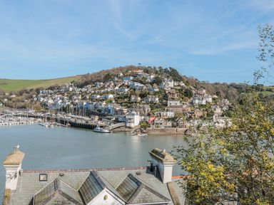 A hill covered with houses near a body of water with boats docked at a marina at Estuary View House and Annexe in Dartmouth