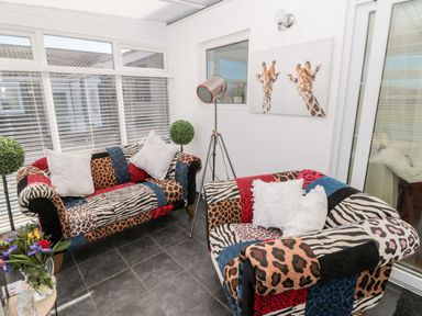 A sunroom with two patterned sofas with white cushions a floor lamp and a giraffe painting at The Snug in Beadnell