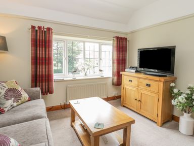 A living room with a gray sofa red plaid curtains a wooden coffee table and cabinet with a tv at Stakesby House Apartment 3 Whitby