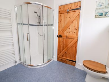 A bathroom with a glass shower enclosure a wooden door a toilet with a wooden seat and a towel radiator at Gwynfa in Capel Iwan near Newcastle Emlyn