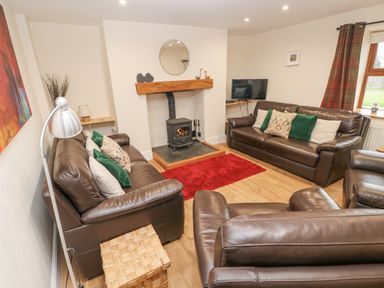 A living room with two brown leather sofas a chair a red rug a wood burning stove and a television at Gwynfa in Capel Iwan near Newcastle Emlyn