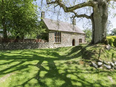 A stone cottage with windows and an arched door beside a large tree on a grassy yard at Stabla in Chwilog