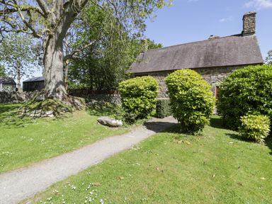 A garden with trimmed bushes a large tree and a stone path leading to a stone building at Stabla in Chwilog
