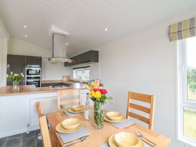 A dining table set with plates and bowls next to a kitchen with a stove and cabinets at Alder Lodge in Teigngrace near Newton Abbot
