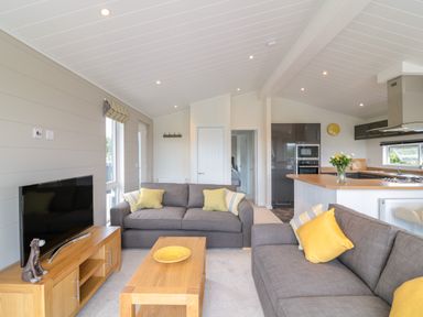 A living room with gray sofas and yellow pillows a wooden coffee table and a TV on a wooden stand at Alder Lodge in Teigngrace near Newton Abbot