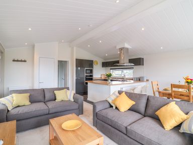 A living room with gray sofas and yellow pillows next to a kitchen with wooden counters and a dining table at Alder Lodge in Teigngrace near Newton Abbot