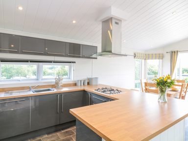 A kitchen with wooden countertops grey cabinets a gas stove and a vase with flowers at Alder Lodge in Teigngrace near Newton Abbot