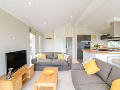 A living room with grey sofas and yellow cushions and a wooden table and TV unit at Birch Lodge in Teigngrace near Newton Abbot