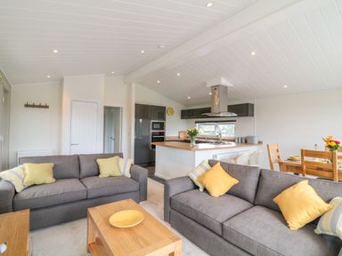 An open plan living room and kitchen with two grey sofas yellow cushions a wooden coffee table and a dining table with chairs at Birch Lodge in Teigngrace near Newton Abbot