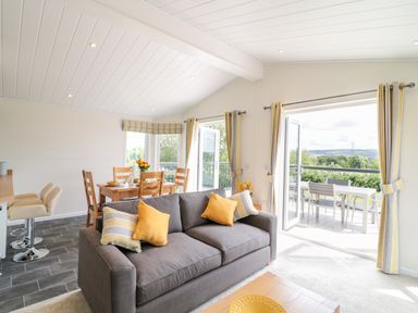 A living room with a gray sofa and yellow cushions next to a dining table with chairs and an open door leading to a balcony at Birch Lodge in Teigngrace near Newton Abbot